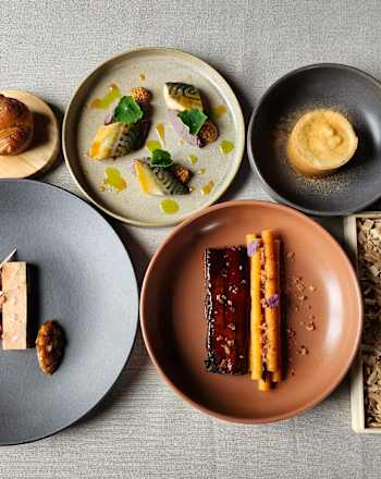 Une variété de plats et d'aliments disposés sur un fond gris, comprenant un sandwich, un bol de soupe ou de ragoût, une pâtisserie et divers autres éléments culinaires.